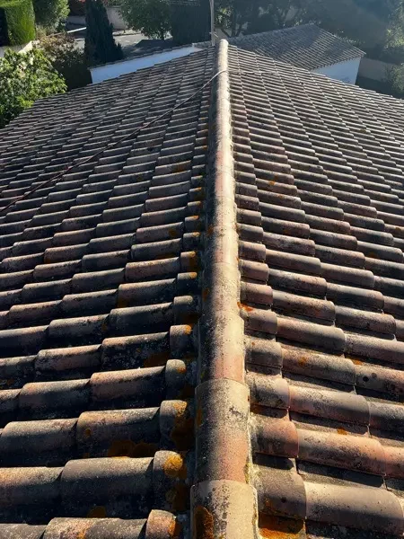 Toiture avant démoussage — Saulx-les-Chartreux (Essonne 91)