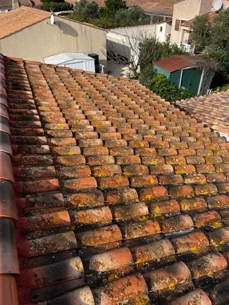 Avant : tuiles colonisées (mousses/lichens) à Évry (91)