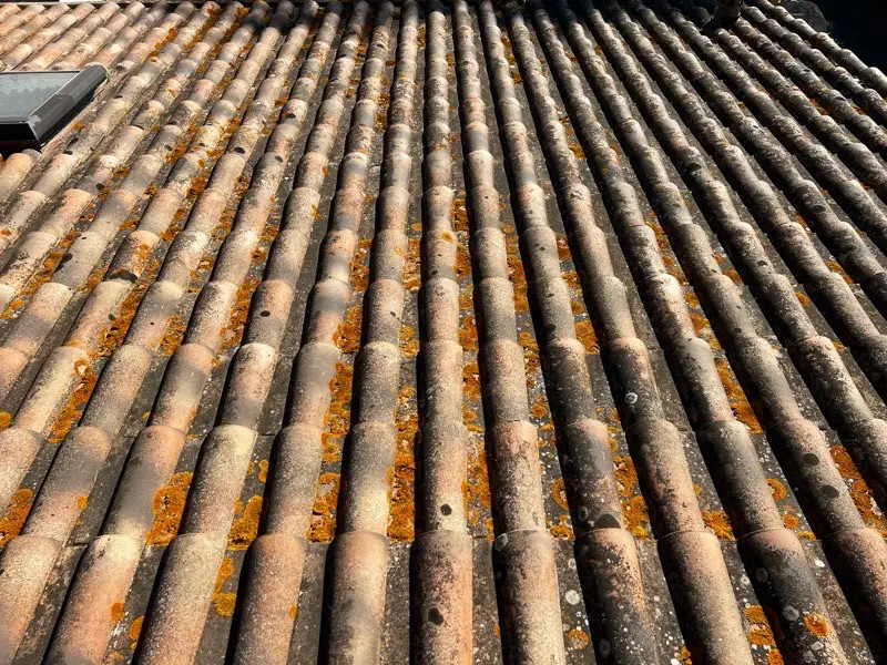 Toiture avant intervention (Île-de-France) — mousses et encrassement