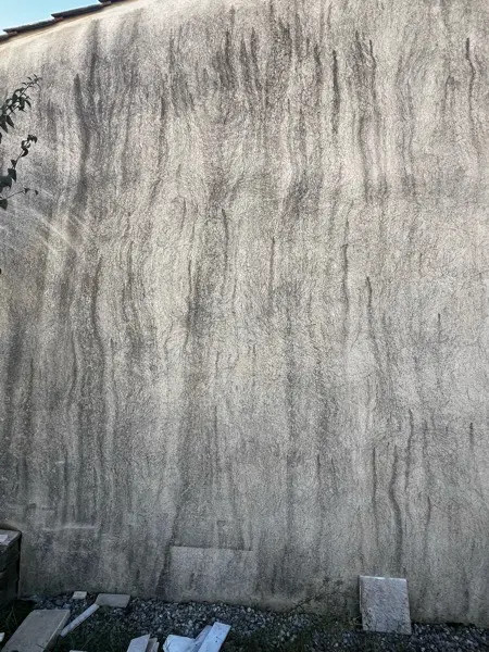 Avant : façade encrassée, traces vertes/noires, Yvelines 78