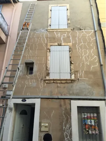 Avant : façade encrassée avec algues/mousses – Val-de-Marne (94)